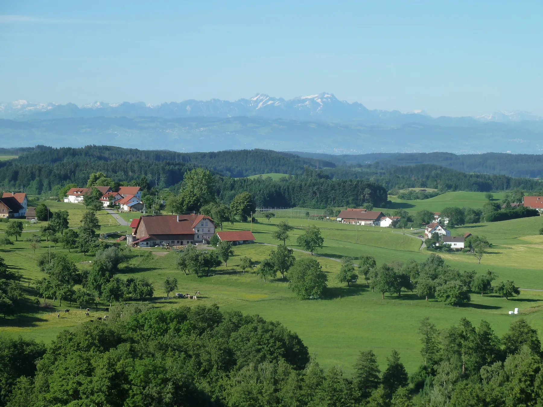 P1000298.JPG